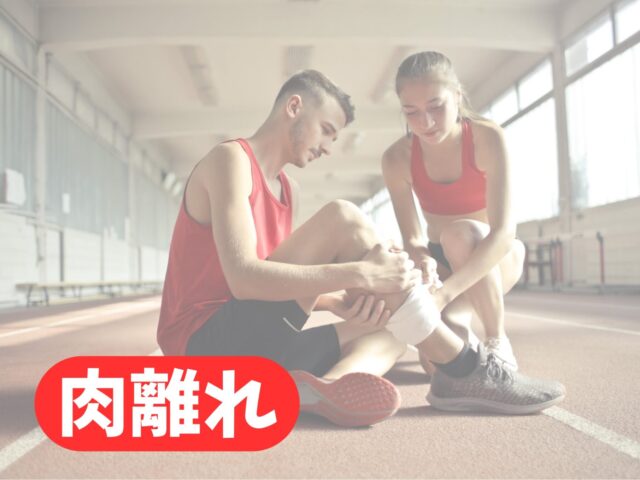 【肉離れとは？】原因・症状・当院での治療法まで徹底解説！